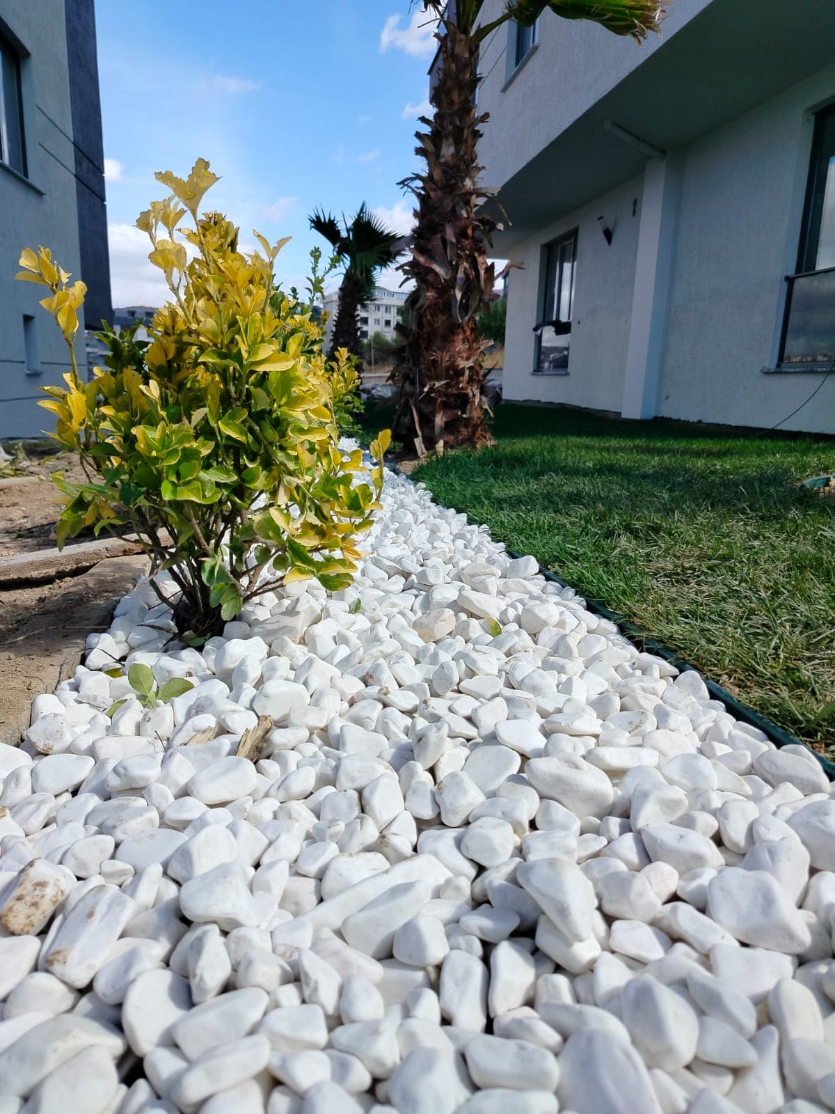 Dema Yaşam Dış Görünüm