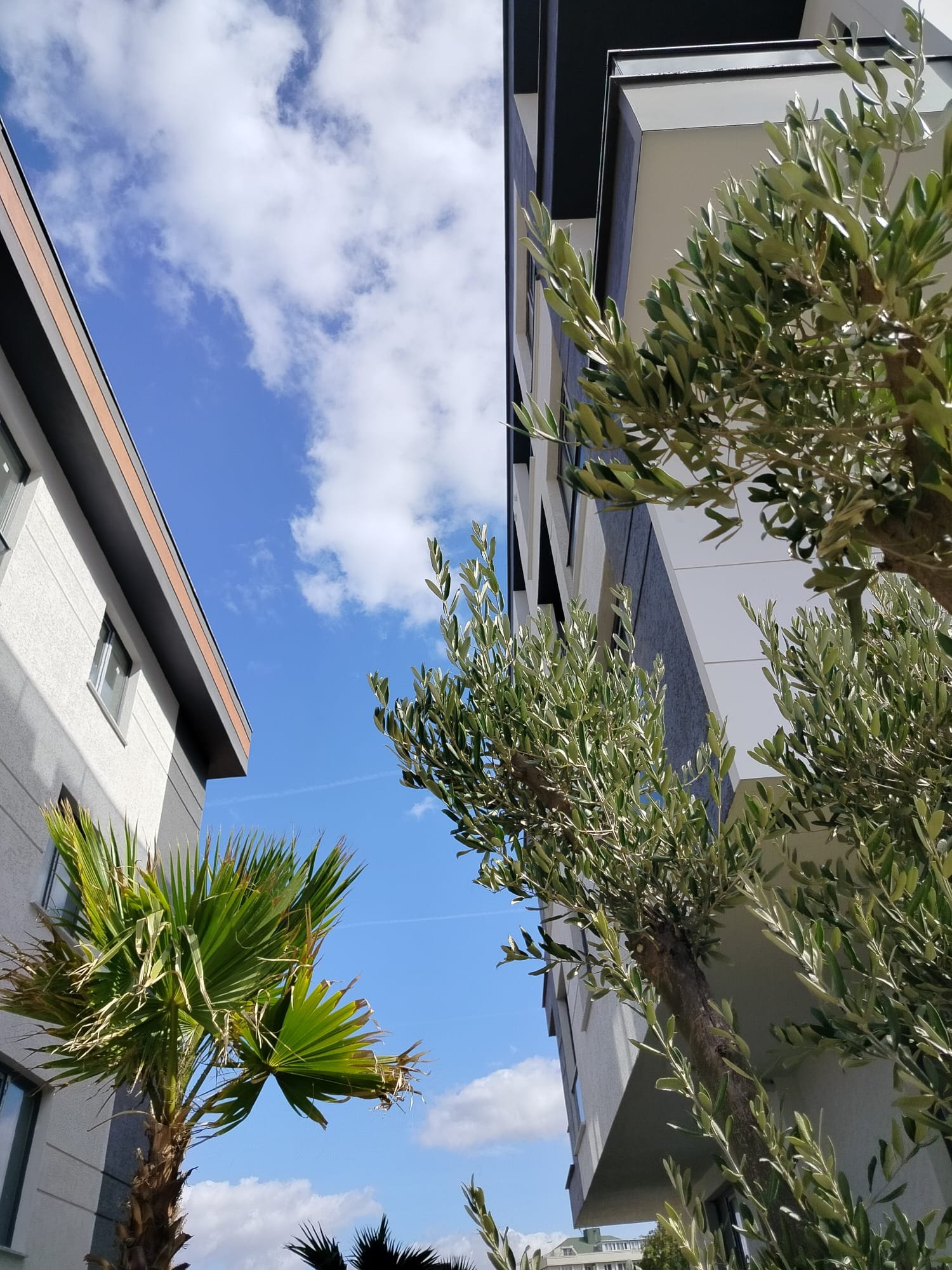 Dema Yaşam Dış Görünüm